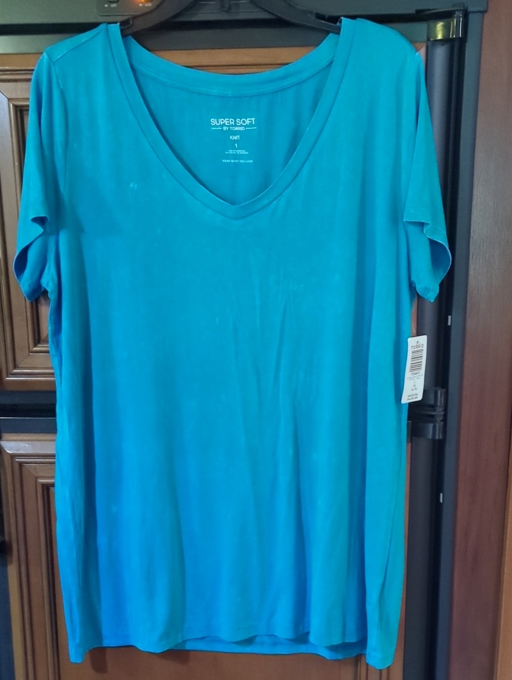 Torrid Teal V-Neck Short Sleeve Top
